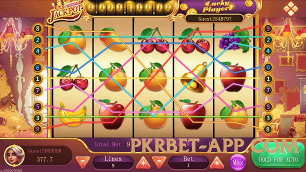 PunjabWin Gold Edition v4.1.0 Screenshot 2