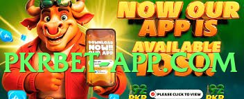 winpkr Max v3.5.0 Official Screenshot 2